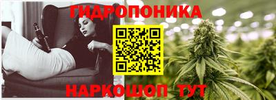 spice Краснознаменск